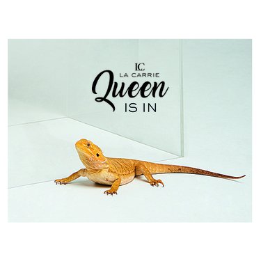 La Queen Collection disponibile su e-commerce!
